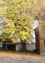 Erlebnisbauernhof Kastanie