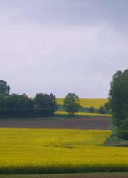Fulda Ems