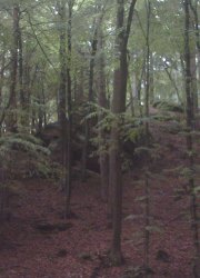 Buchenwald2