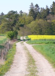 Wanderweg2