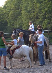 Reiten
