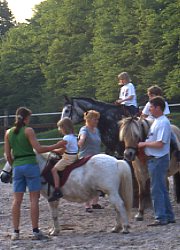 Reiten Pferde