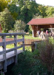Region Seeburg6