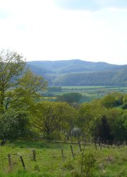 Werra Meissner